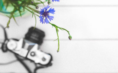 Buscando imagens livres para usar em seu negócio?