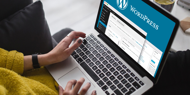 Como escolher e onde encontrar temas para WordPress